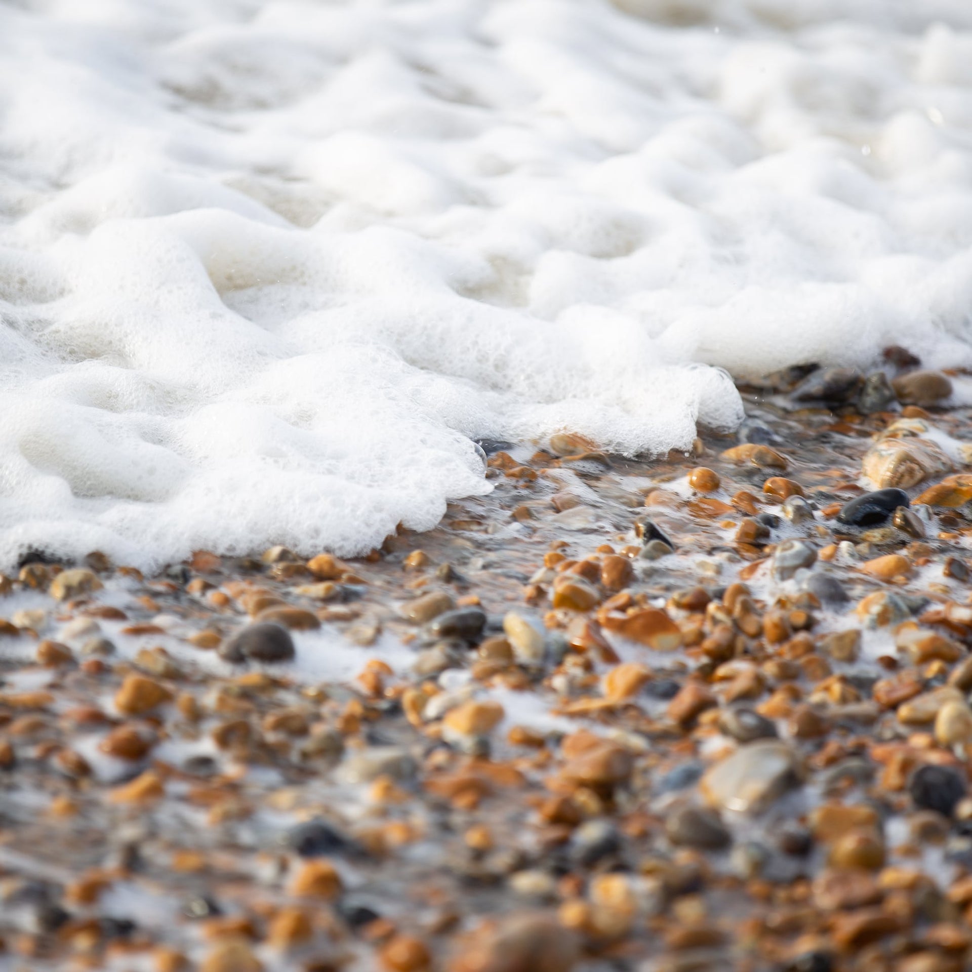 Sneak Peek! Meet us at The Coast - The Cambridge Satchel Company EU Store