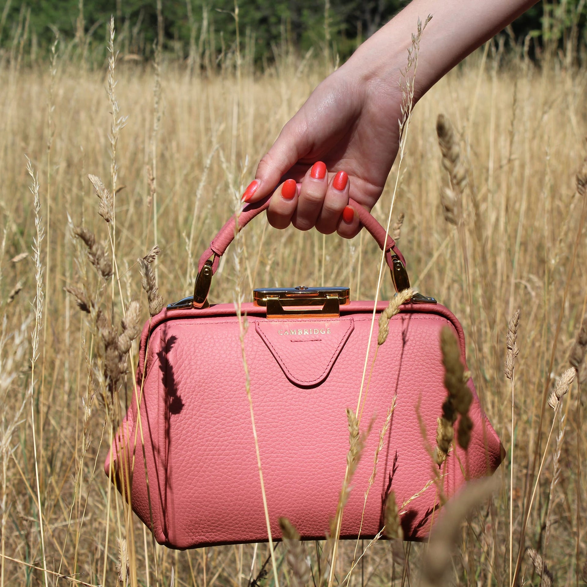 The Mini Sophie is Here - The Cambridge Satchel Company EU Store