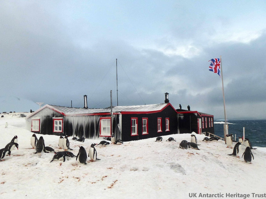 Postcards From The Penguin Post Office - The Cambridge Satchel Company EU Store