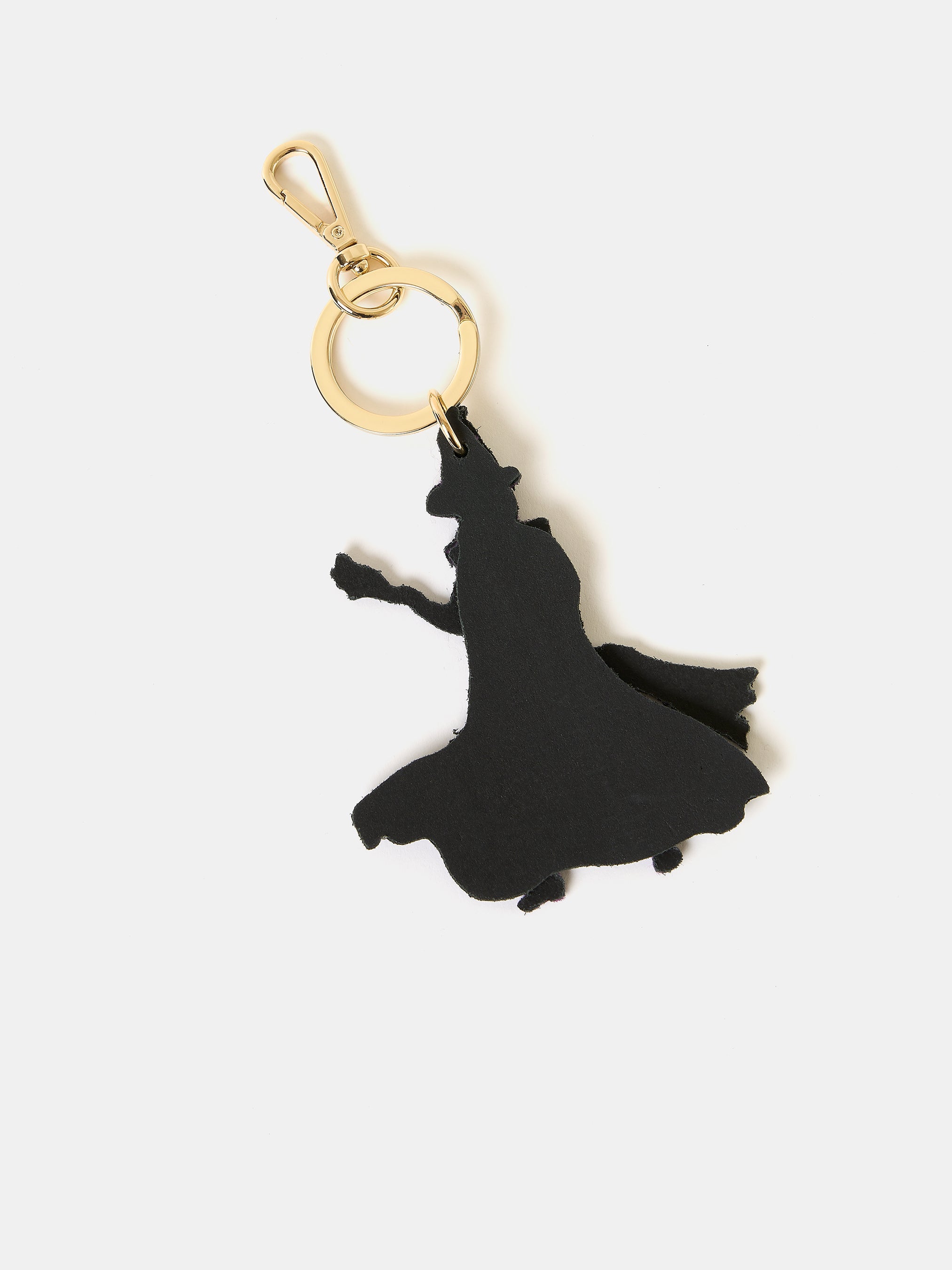 The Elphaba Charm