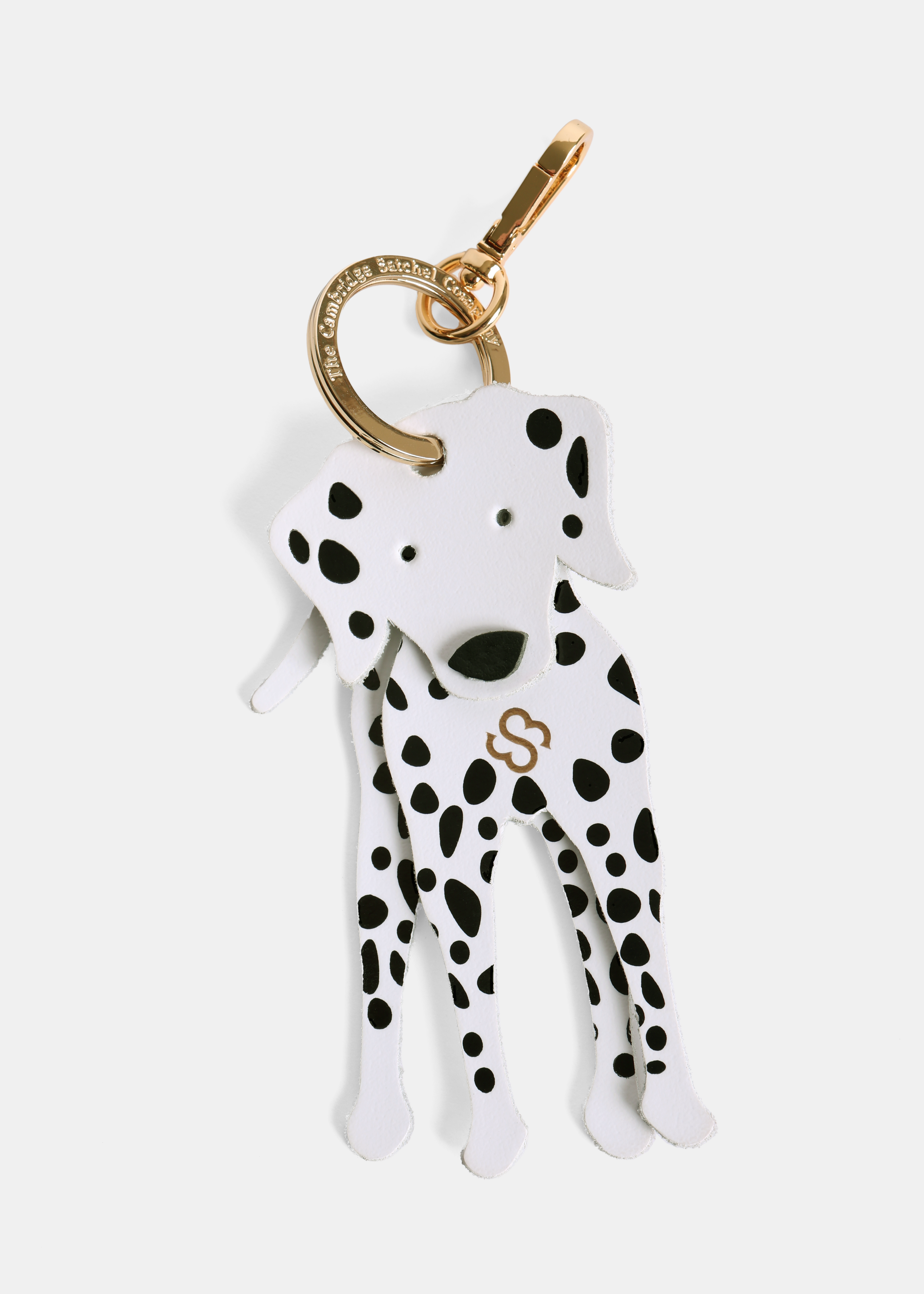 The Dalmatian Charm